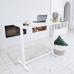 Bureau-assis-debout-Flexispot-EG8W-blanc-situation-250