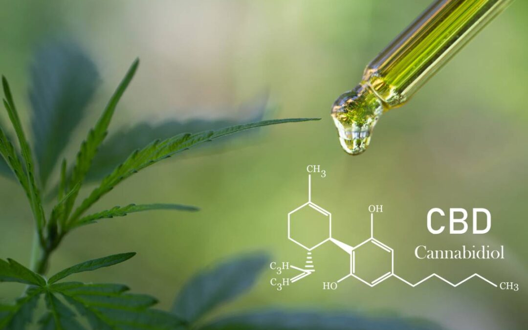 Comment bien débuter avec une huile CBD ?